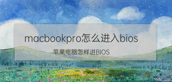 macbookpro怎么进入bios 苹果电脑怎样进BIOS？